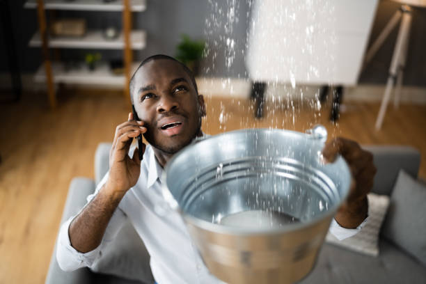 Best Flood restoration services  in Calhoun, GA