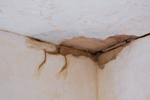 Best Local water damage restoration  in Calhoun, GA