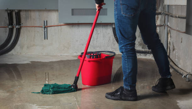 Best Basement water damage restoration  in Calhoun, GA