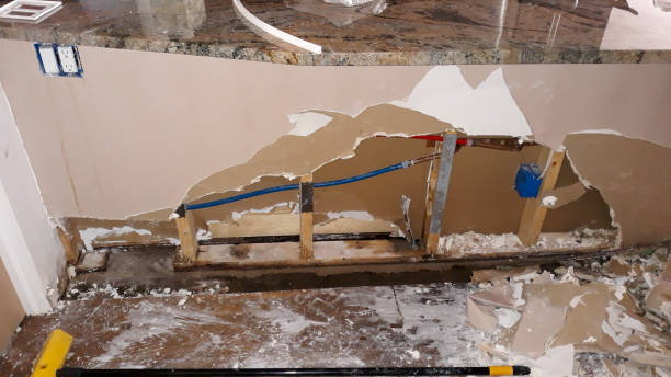 Best Mold removal after water damage  in Calhoun, GA