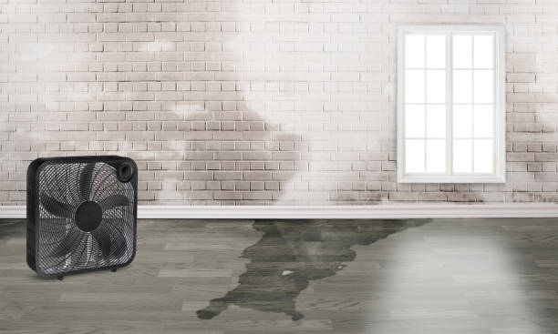 Best Residential water damage restoration  in Calhoun, GA