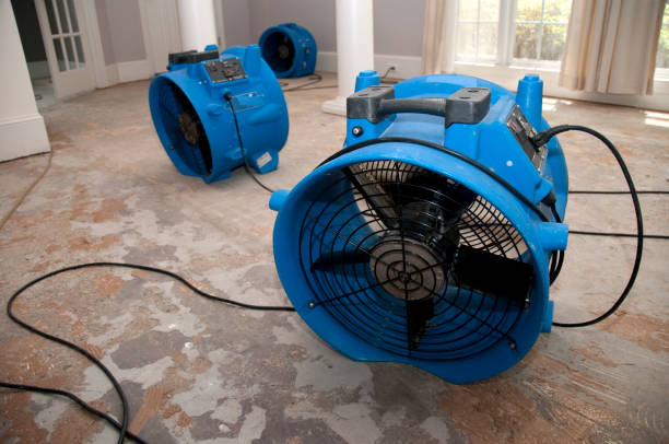 Best Commercial water damage restoration  in Calhoun, GA