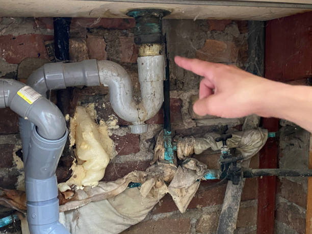 Best Water damage repair service  in Calhoun, GA