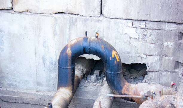 Best Professional water damage repair  in Calhoun, GA