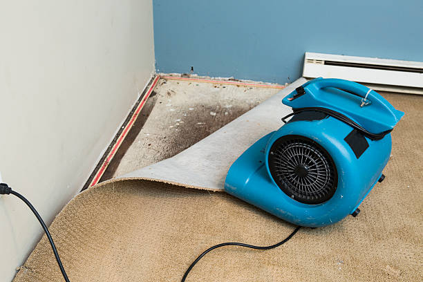 Best Flood damage cleanup  in Calhoun, GA